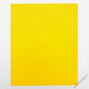 Kopírák žlutý 026